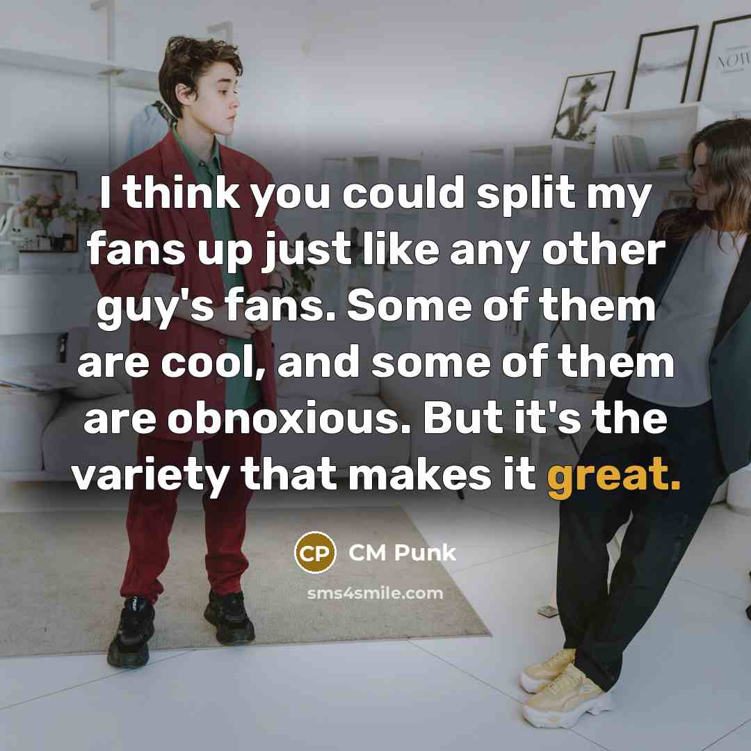 “I think you could split my fans up just like…” quote by CM Punk
