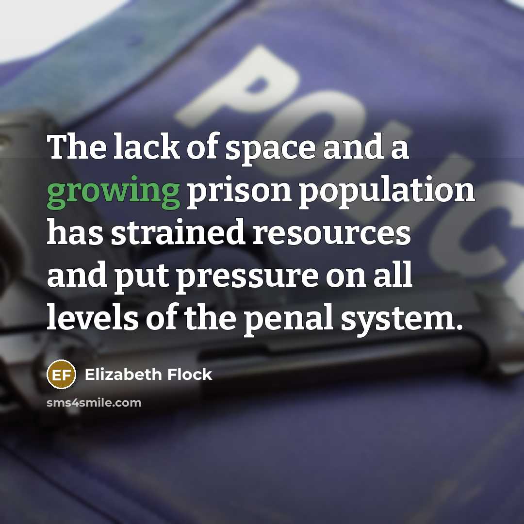 “The lack of space and a growing prison population has…” quote by Elizabeth Flock