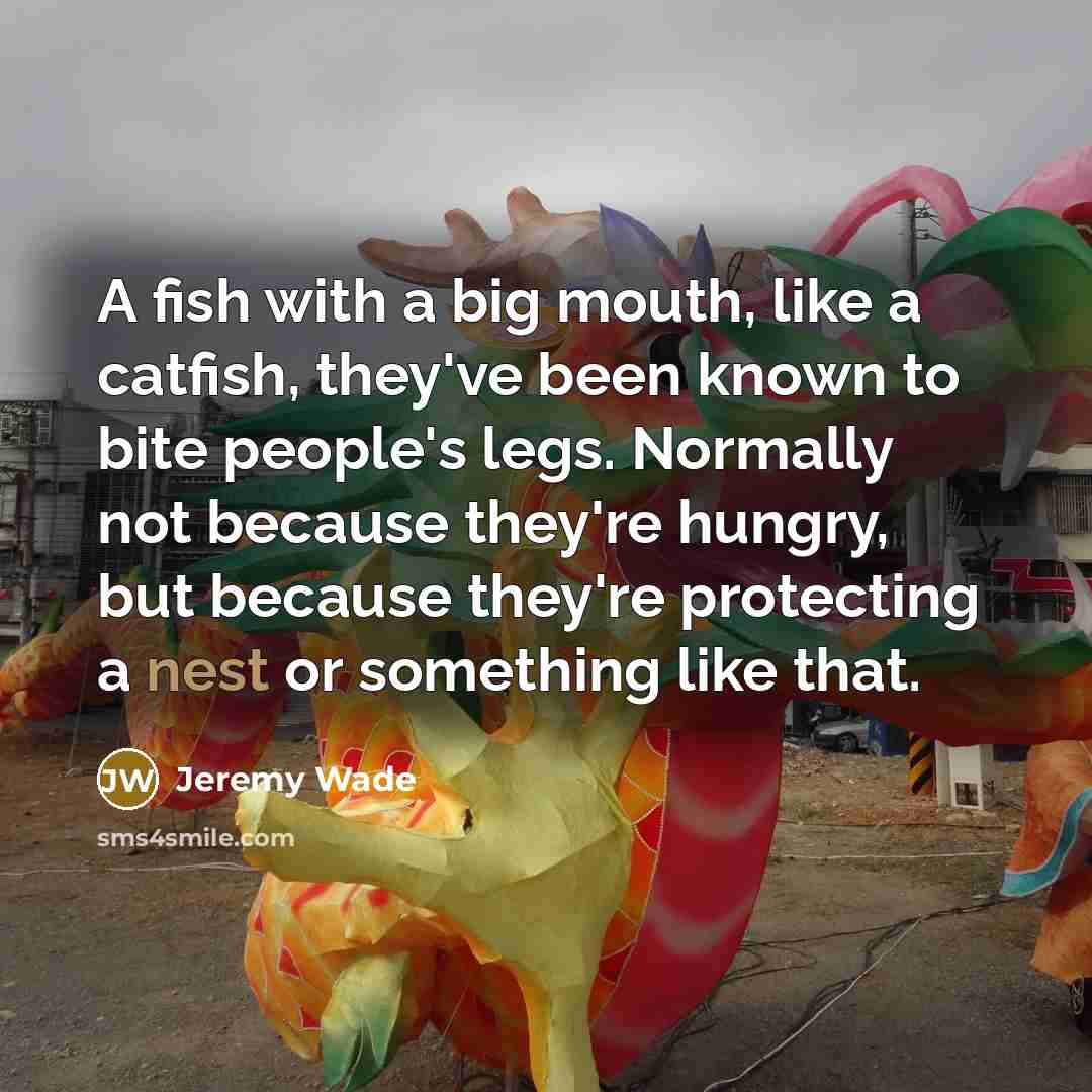 “A fish with a big mouth, like a catfish, they've…” quote by Jeremy Wade
