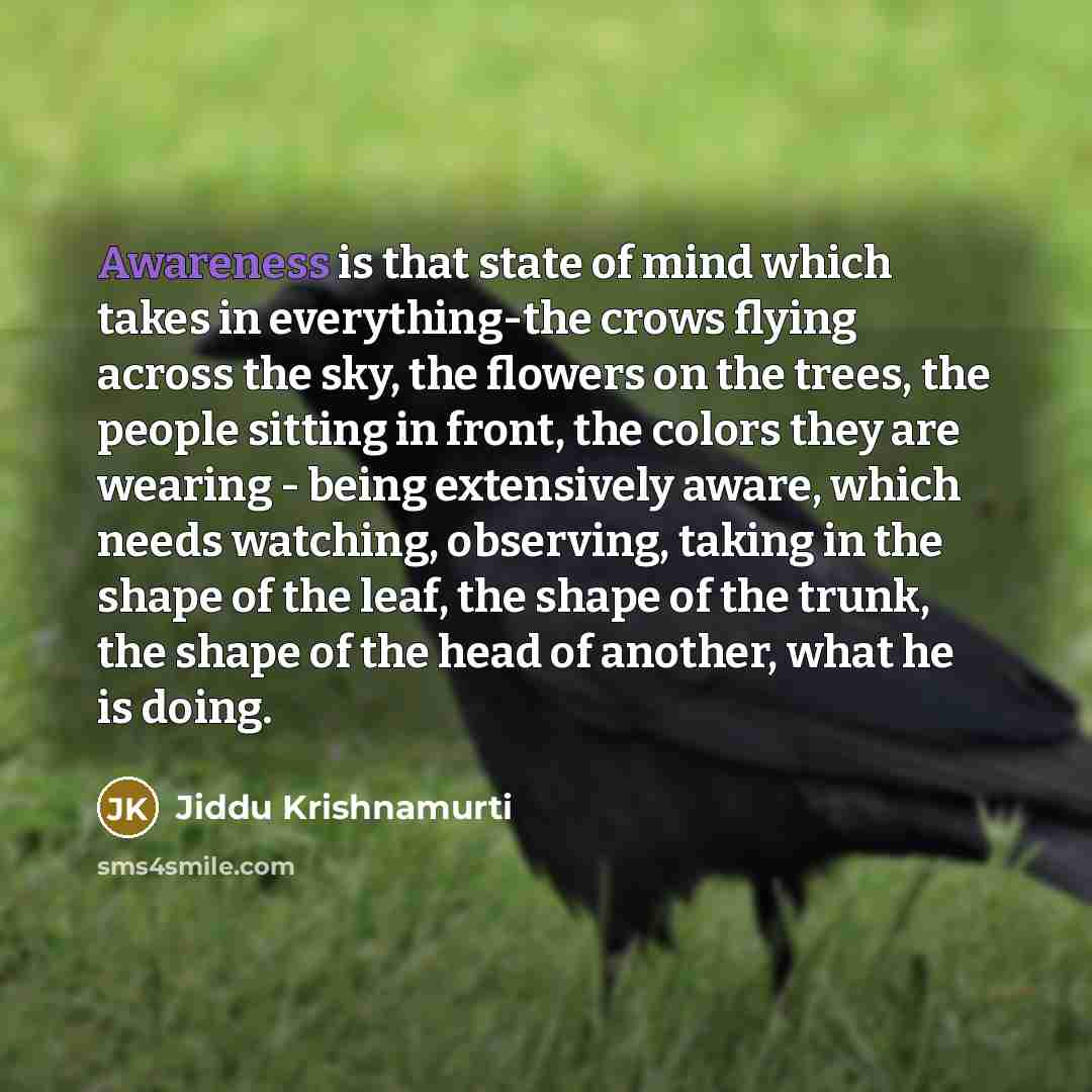 “Awareness is that state of mind which takes in everything-the…” quote by Jiddu Krishnamurti