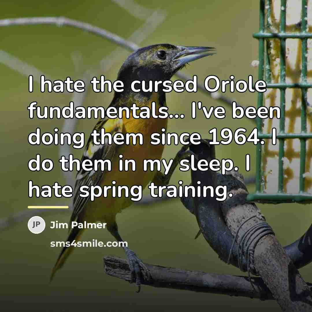 “I hate the cursed Oriole fundamentals... I've been doing them…” quote by Jim Palmer