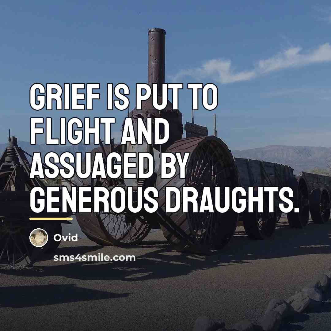 “Grief is put to flight and assuaged by generous draughts.…” quote by Ovid