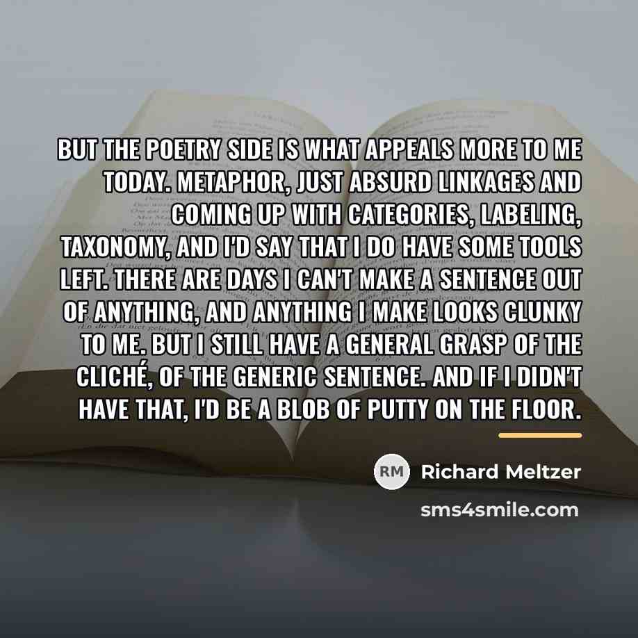 “But the poetry side is what appeals more to me…” quote by Richard Meltzer