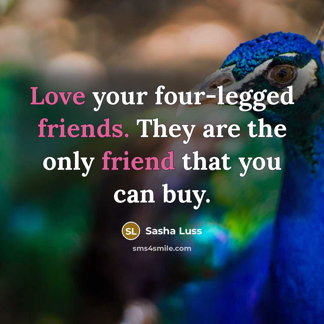 “Love your four-legged friends. They are the only friend that you can buy.” quote by Sasha Luss