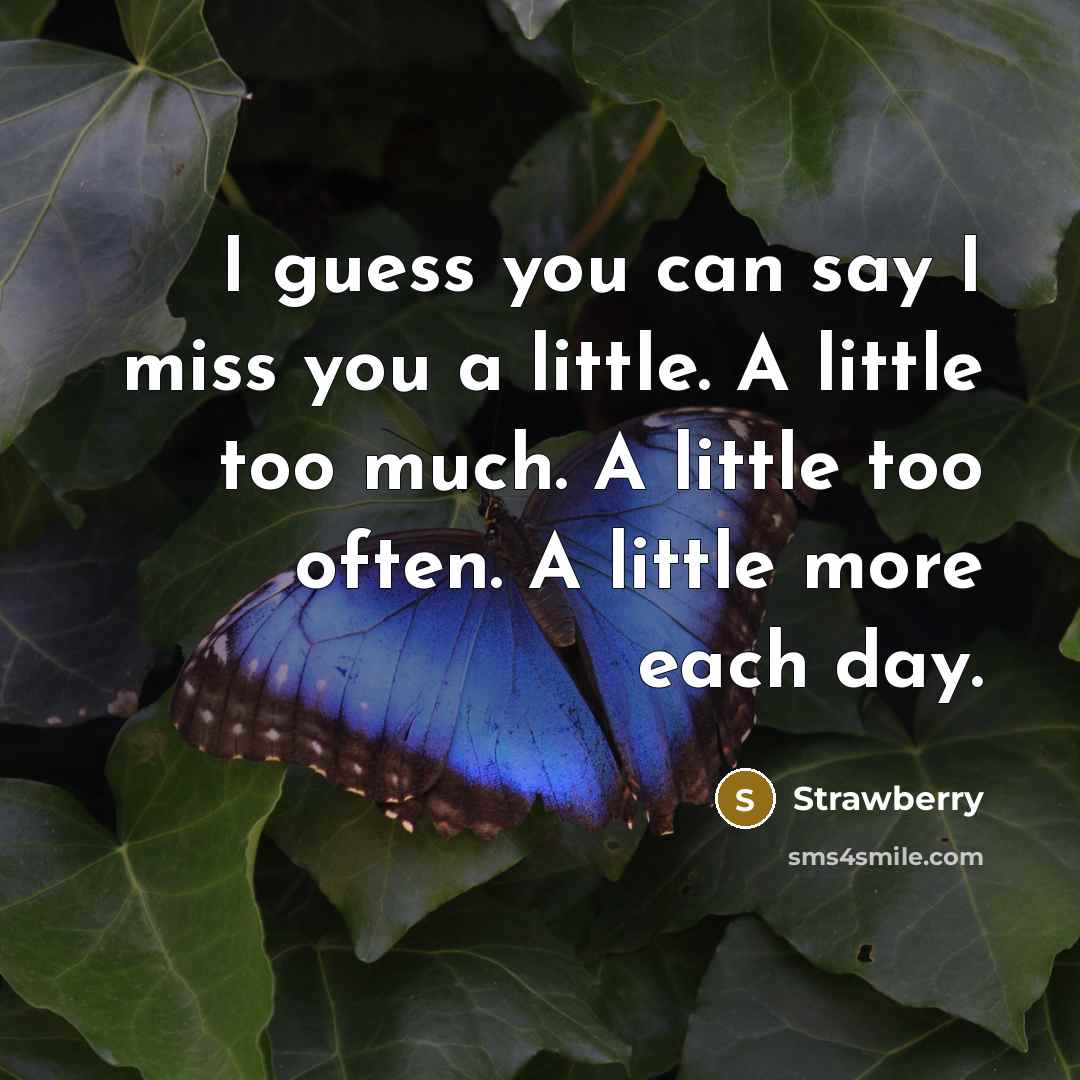 “I guess you can say I miss you a little. A little too much. A little too often. A little more each day.” quote by Strawberry