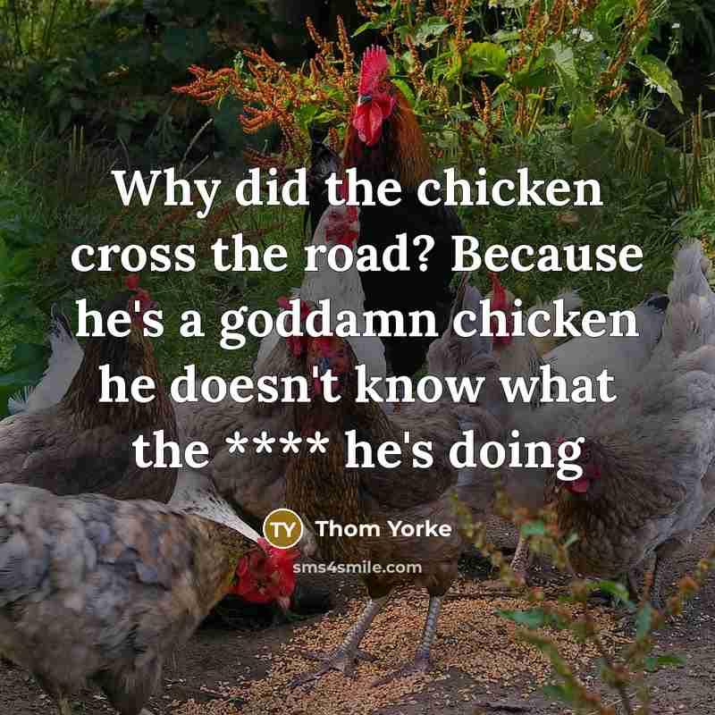 “Why did the chicken cross the road? Because he's a goddamn chicken he doesn't know what the **** he's doing” quote by Thom Yorke