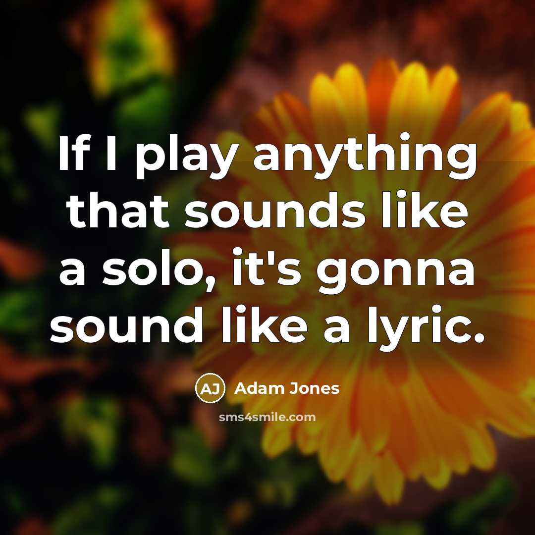 “If I play anything that sounds like a solo, it's…” quote by Adam Jones