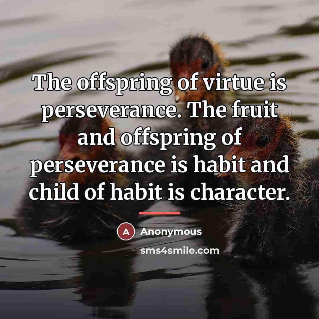 “The offspring of virtue is perseverance. The fruit and offspring…” quote by Anonymous
