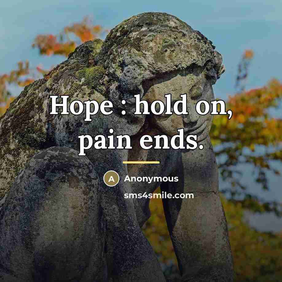 “Hope : hold on, pain ends.…” quote by Anonymous