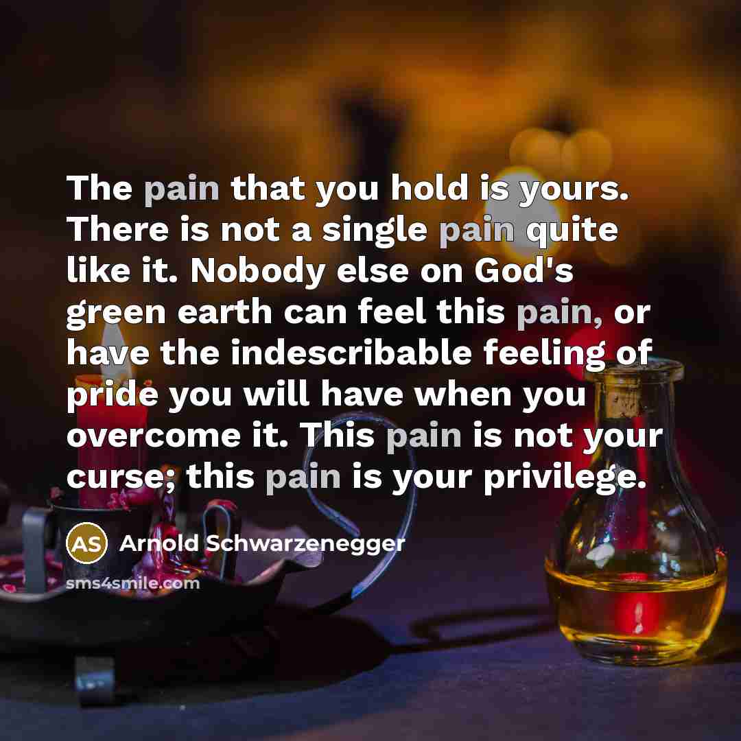 “The pain that you hold is yours. There is not…” quote by Arnold Schwarzenegger