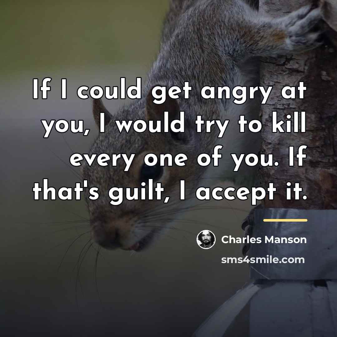 “If I could get angry at you, I would try…” quote by Charles Manson