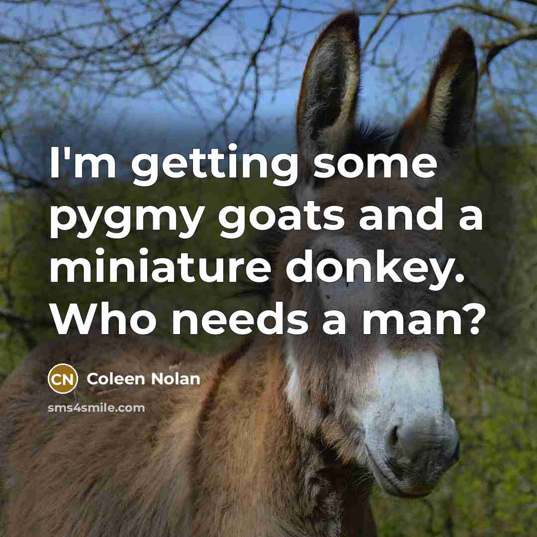 “I'm getting some pygmy goats and a miniature donkey. Who…” quote by Coleen Nolan