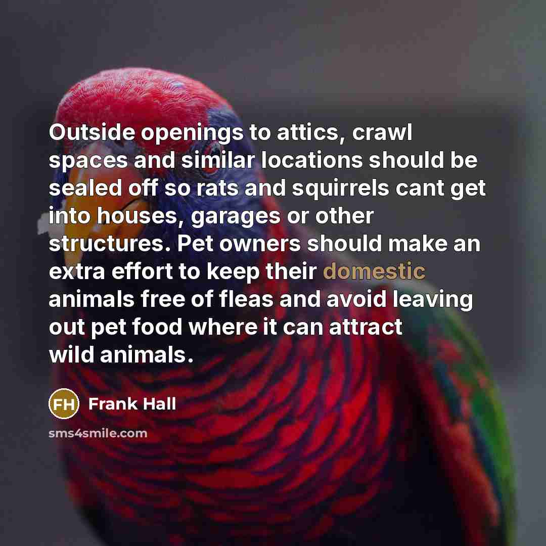 “Outside openings to attics, crawl spaces and similar locations should…” quote by Frank Hall