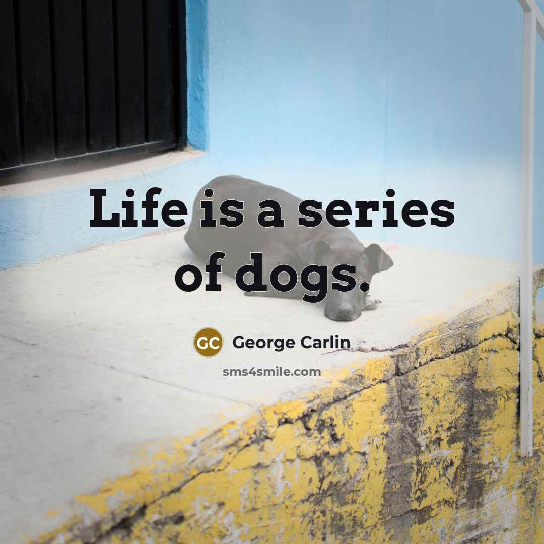 “Life is a series of dogs.…” quote by George Carlin