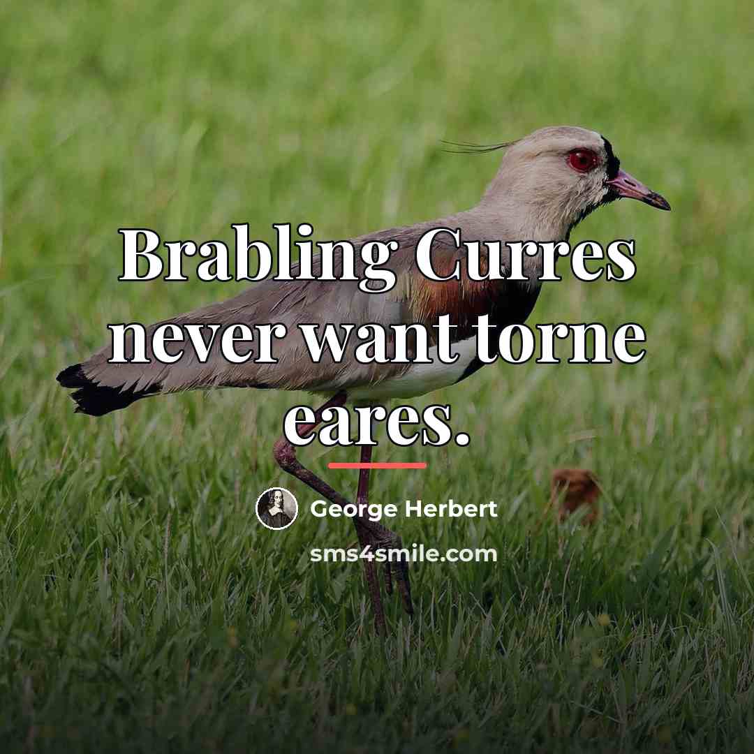 “Brabling Curres never want torne eares.…” quote by George Herbert