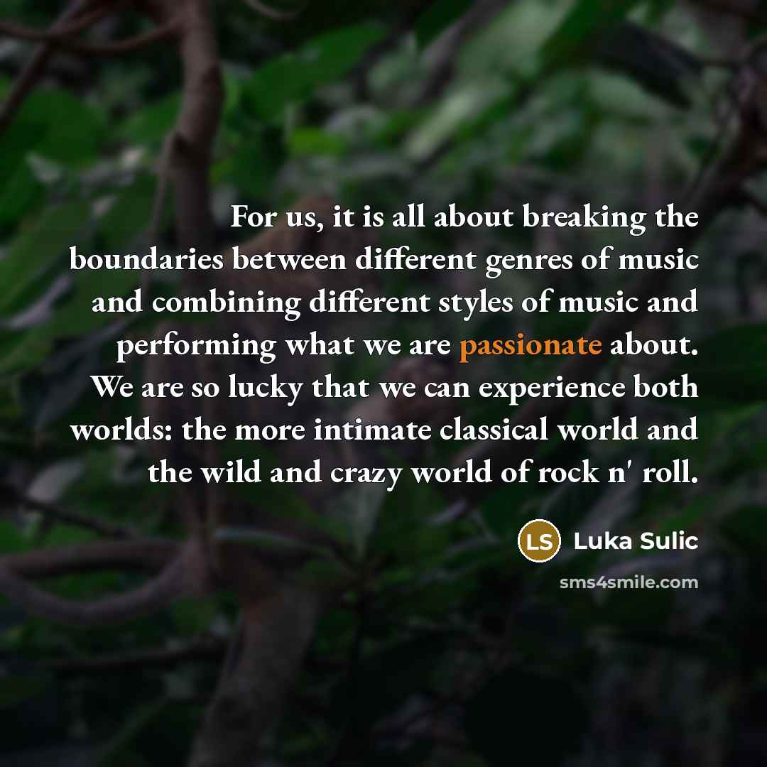 “For us, it is all about breaking the boundaries between…” quote by Luka Sulic