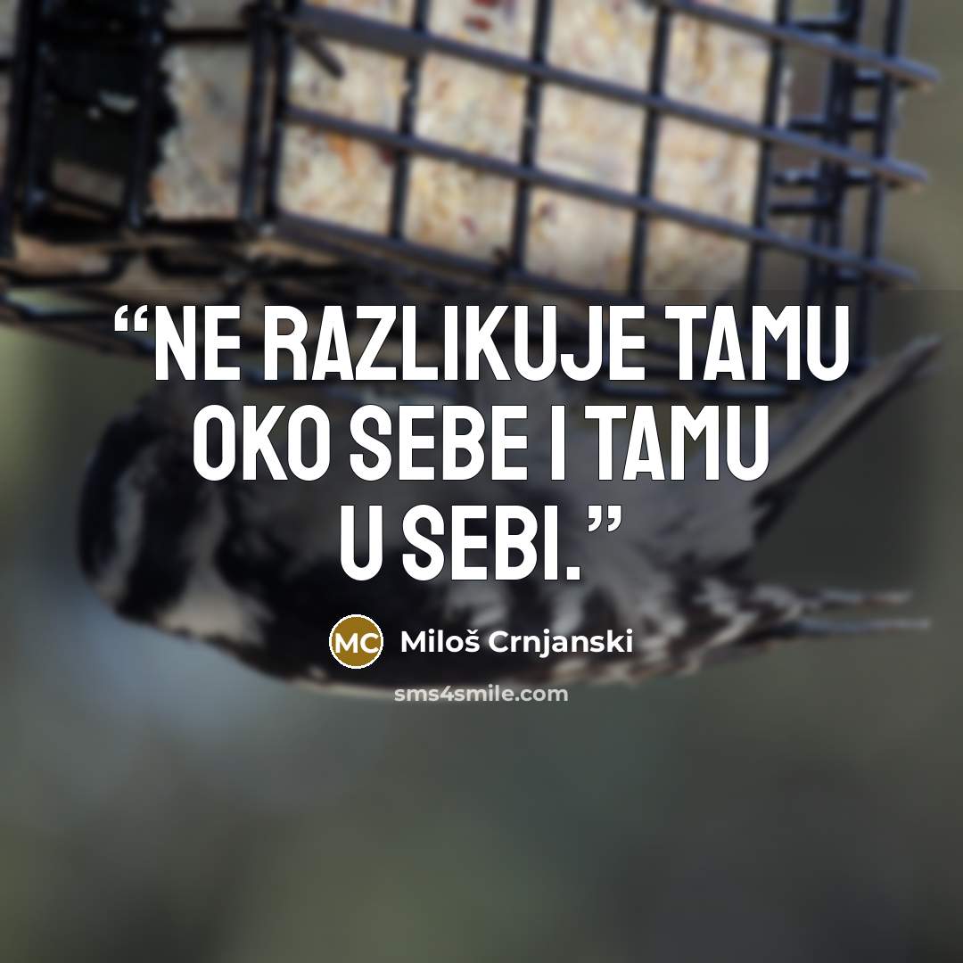 “Ne razlikuje tamu oko sebe i tamu u sebi.” quote by Miloš Crnjanski