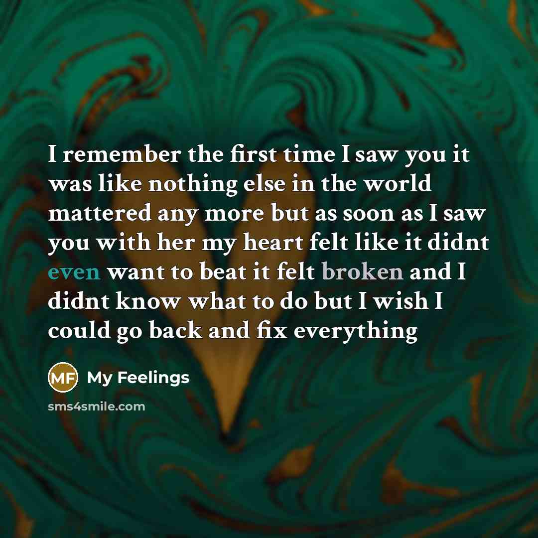 “I remember the first time I saw you it was like nothing else in the world mattered any more but as soon as I saw you with her my heart felt like it didnt even want to beat it felt broken and I didnt know what to do but I wish I could go back and fix everything” quote by My Feelings