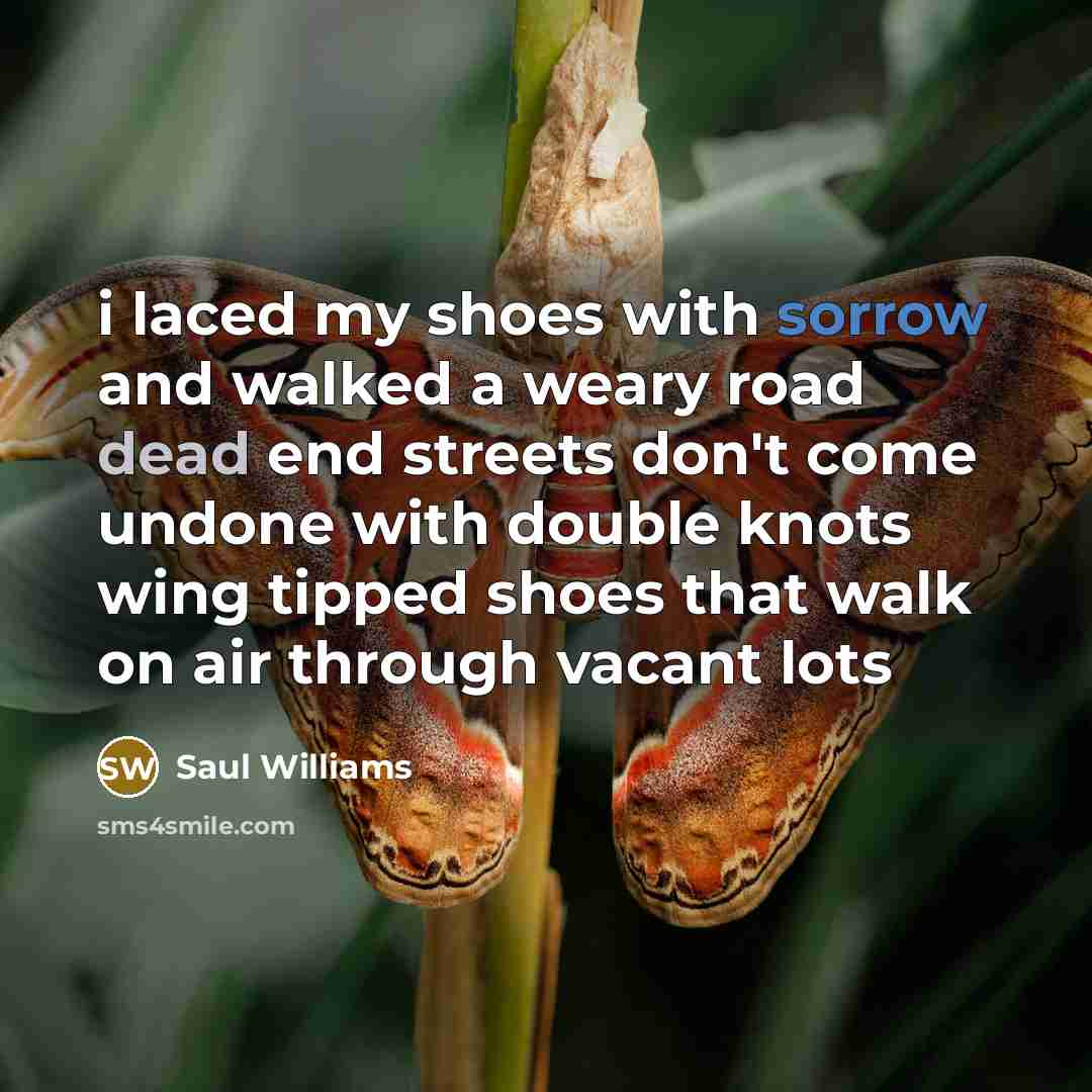 “i laced my shoes with sorrow and walked a weary…” quote by Saul Williams