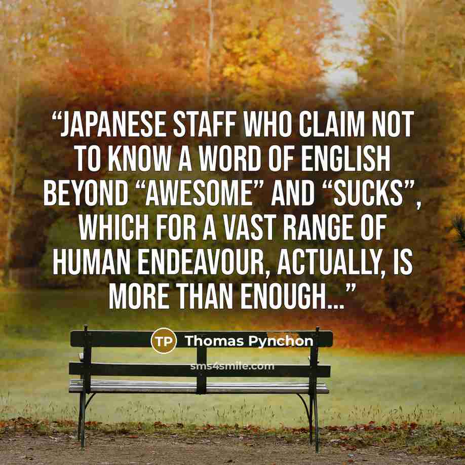 “Japanese staff who claim not to know a word of English beyond “awesome” and “sucks”, which for a vast range of human endeavour, actually, is more than enough…” quote by Thomas Pynchon