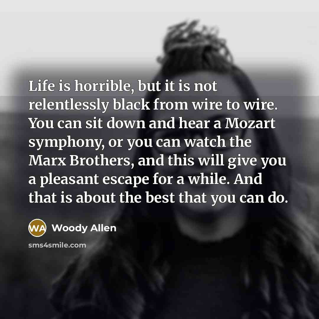 “Life is horrible, but it is not relentlessly black from…” quote by Woody Allen
