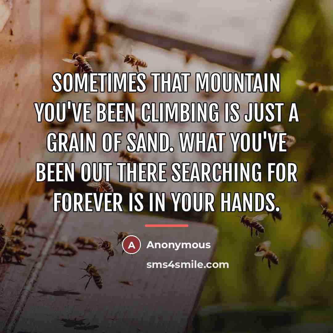 “Sometimes that mountain you've been climbing is just a grain…” quote by Anonymous
