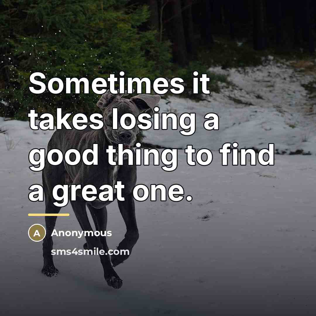 “Sometimes it takes losing a good thing to find a…” quote by Anonymous