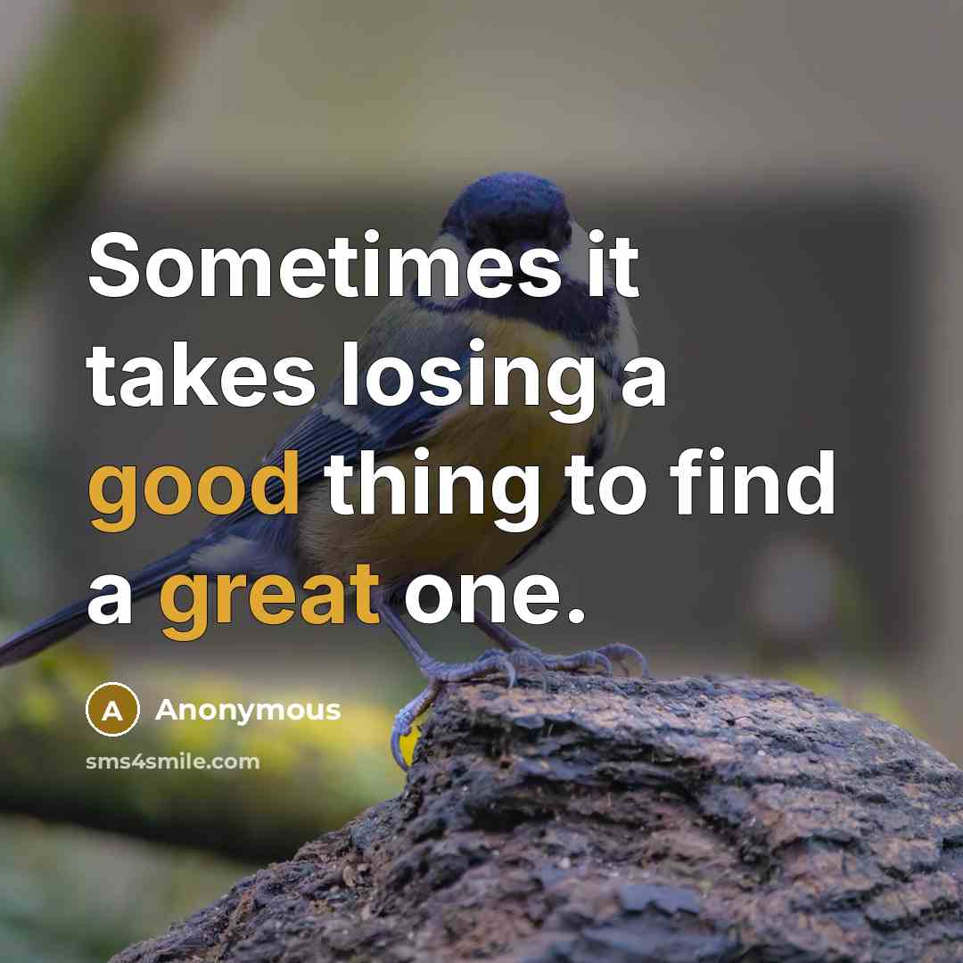 “Sometimes it takes losing a good thing to find a great one.” quote by Anonymous