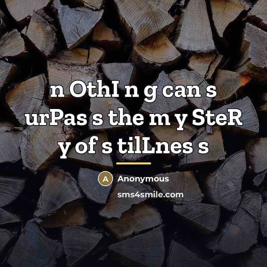 “n OthI n g can s urPas s the m…” quote by Anonymous