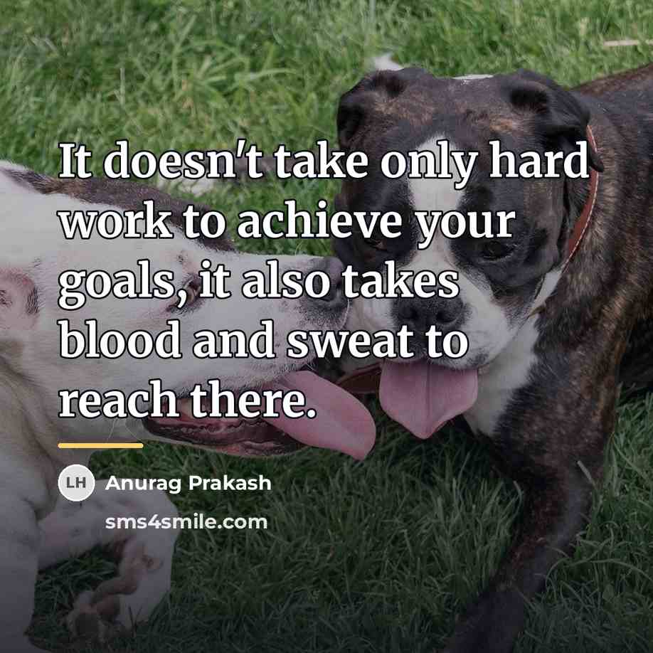 “It doesn't take only hard work to achieve your goals,…” quote by Anurag Prakash