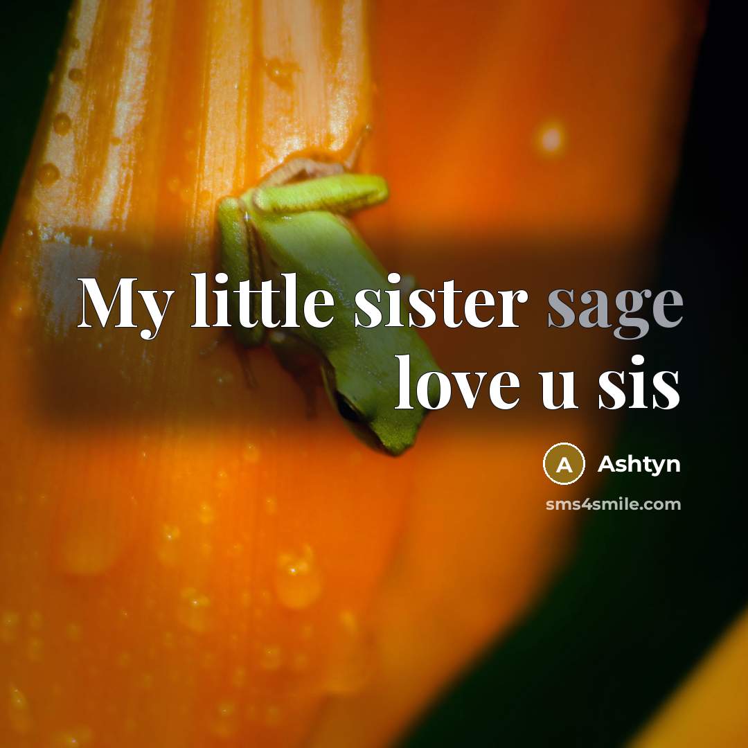 “My little sister sage love u sis…” quote by Ashtyn