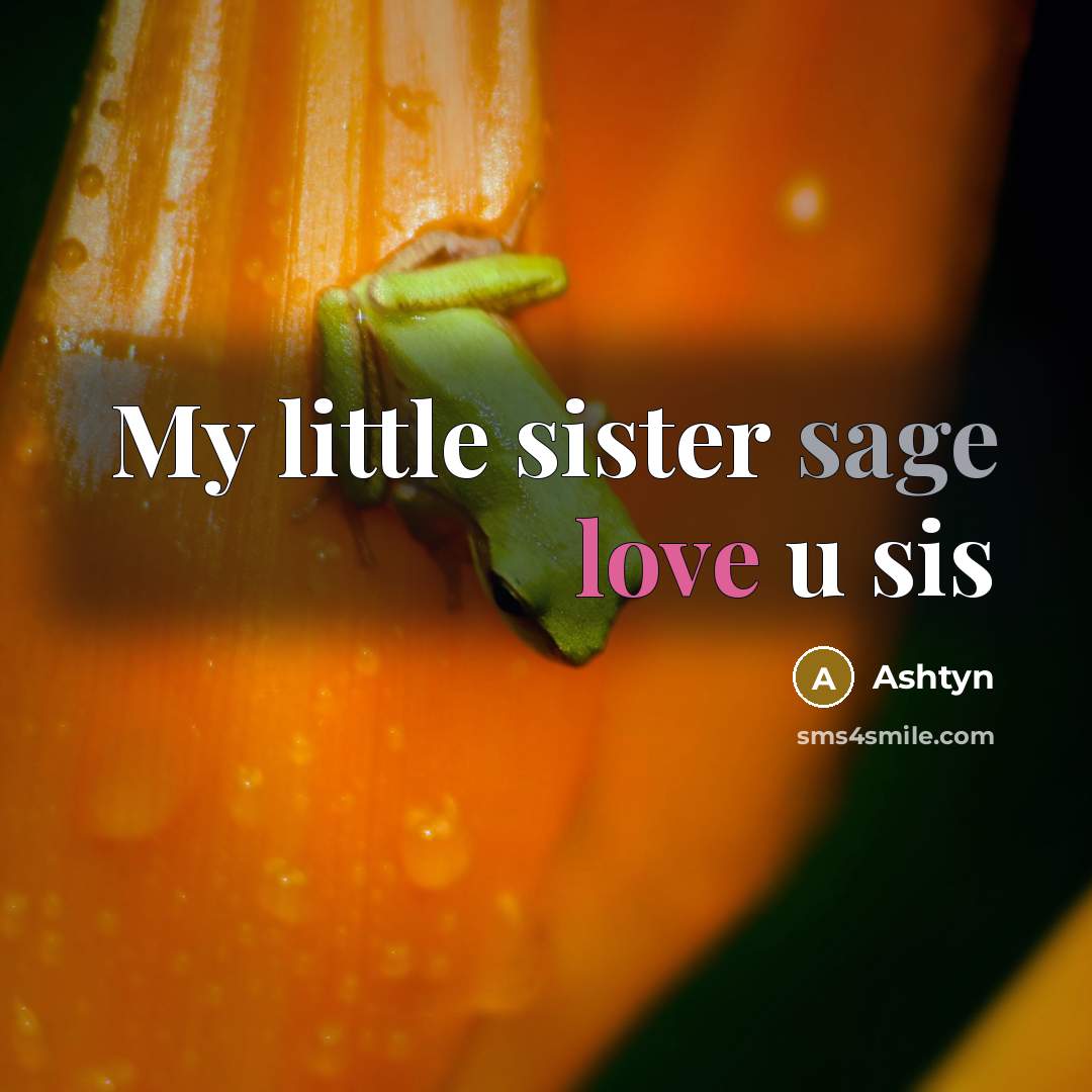 “My little sister sage love u sis” quote by Ashtyn