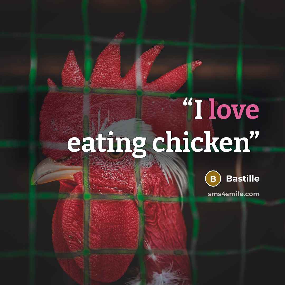 “I love eating chicken” quote by Bastille
