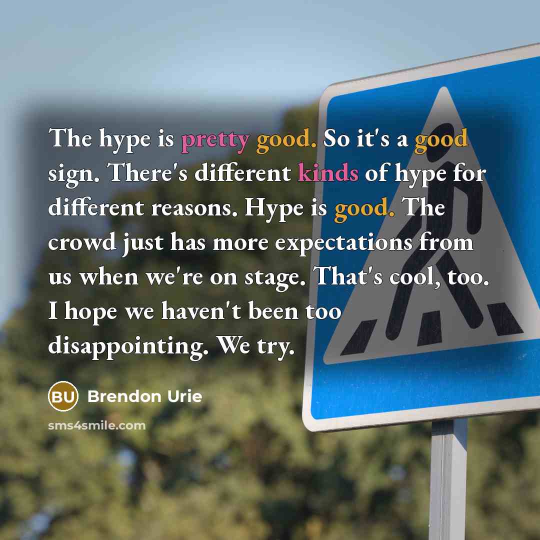 “The hype is pretty good. So it's a good sign. There's different kinds of hype for different reasons. Hype is good. The crowd just has more expectations from us when we're on stage. That's cool, too. I hope we haven't been too disappointing. We try.” quote by Brendon Urie