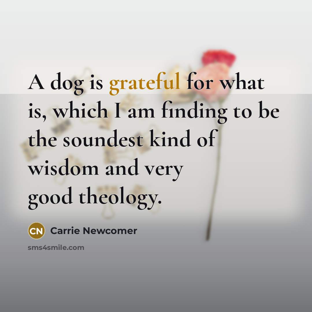 “A dog is grateful for what is, which I am…” quote by Carrie Newcomer