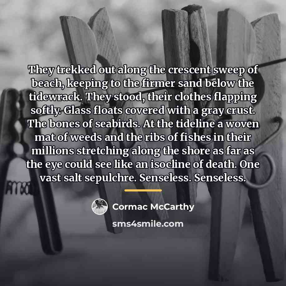 “They trekked out along the crescent sweep of beach, keeping…” quote by Cormac McCarthy