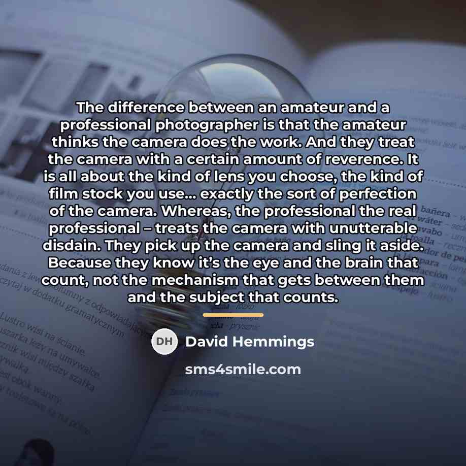 “The difference between an amateur and a professional photographer is…” quote by David Hemmings
