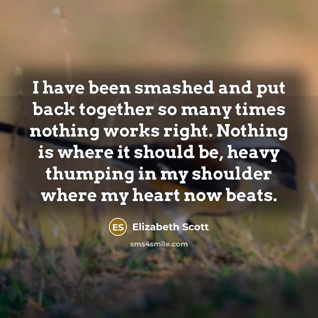 “I have been smashed and put back together so many…” quote by Elizabeth Scott