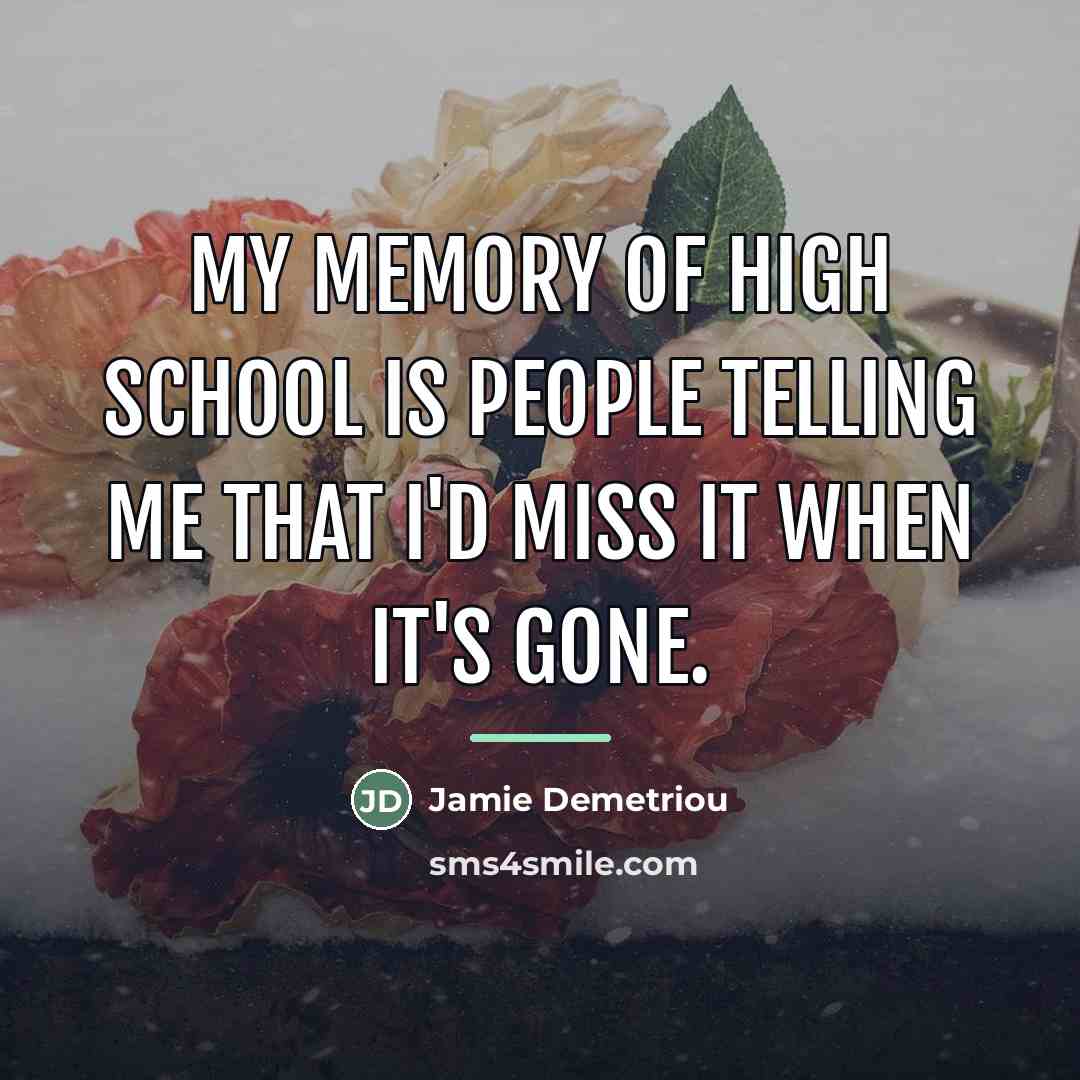 “My memory of high school is people telling me that…” quote by Jamie Demetriou