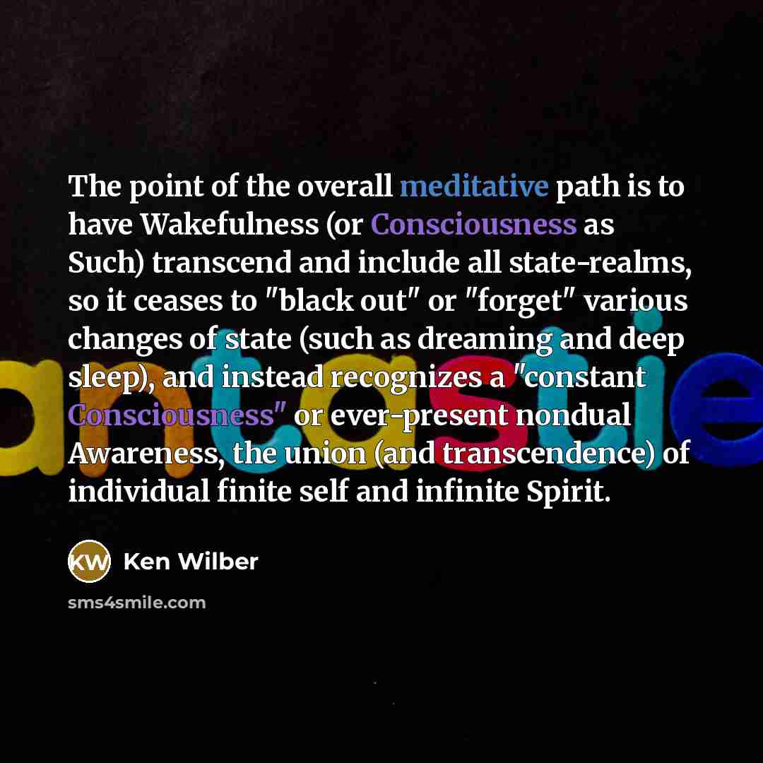 “The point of the overall meditative path is to have…” quote by Ken Wilber