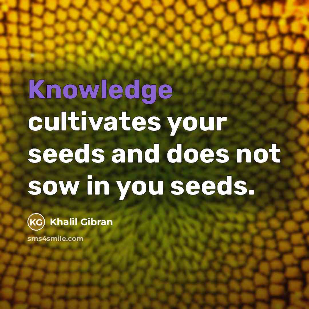 “Knowledge cultivates your seeds and does not sow in you seeds.” quote by Khalil Gibran