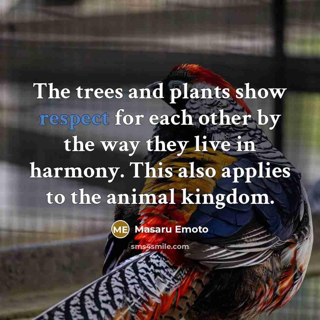 “The trees and plants show respect for each other by…” quote by Masaru Emoto