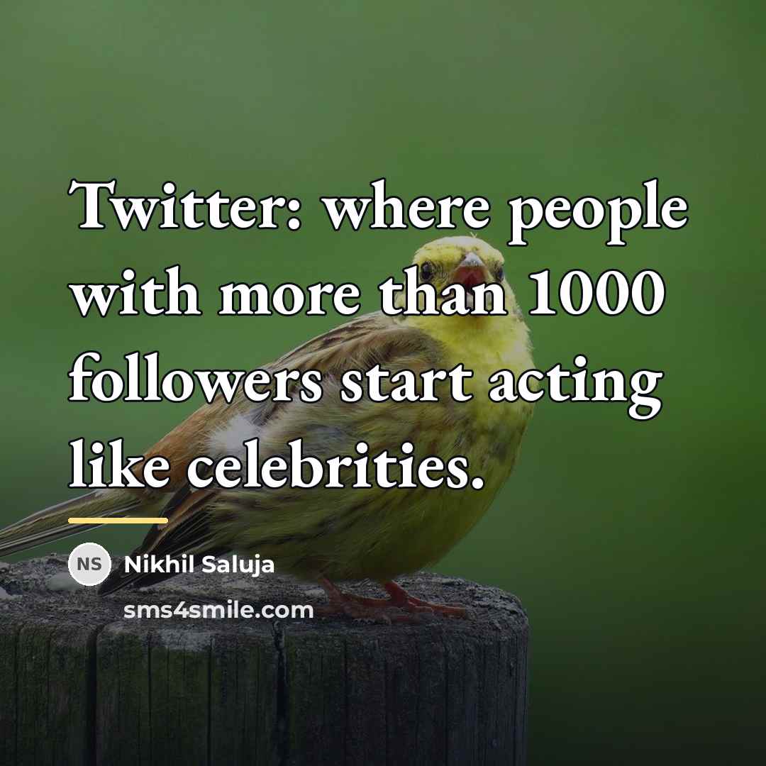 “Twitter: where people with more than 1000 followers start acting…” quote by Nikhil Saluja
