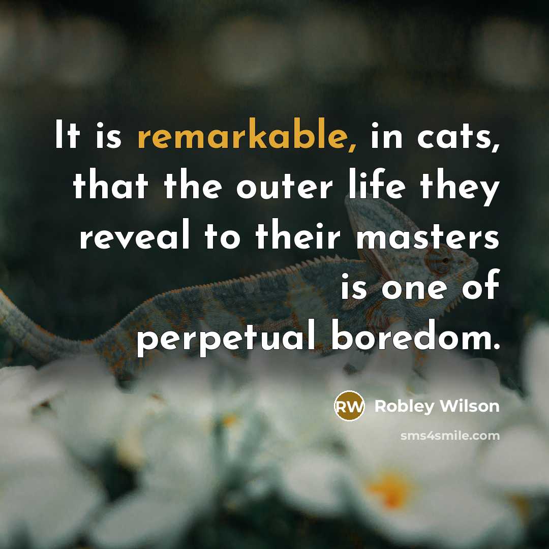 “It is remarkable, in cats, that the outer life they…” quote by Robley Wilson