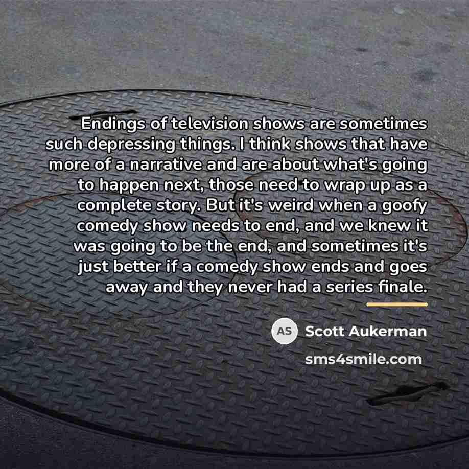 “Endings of television shows are sometimes such depressing things. I…” quote by Scott Aukerman