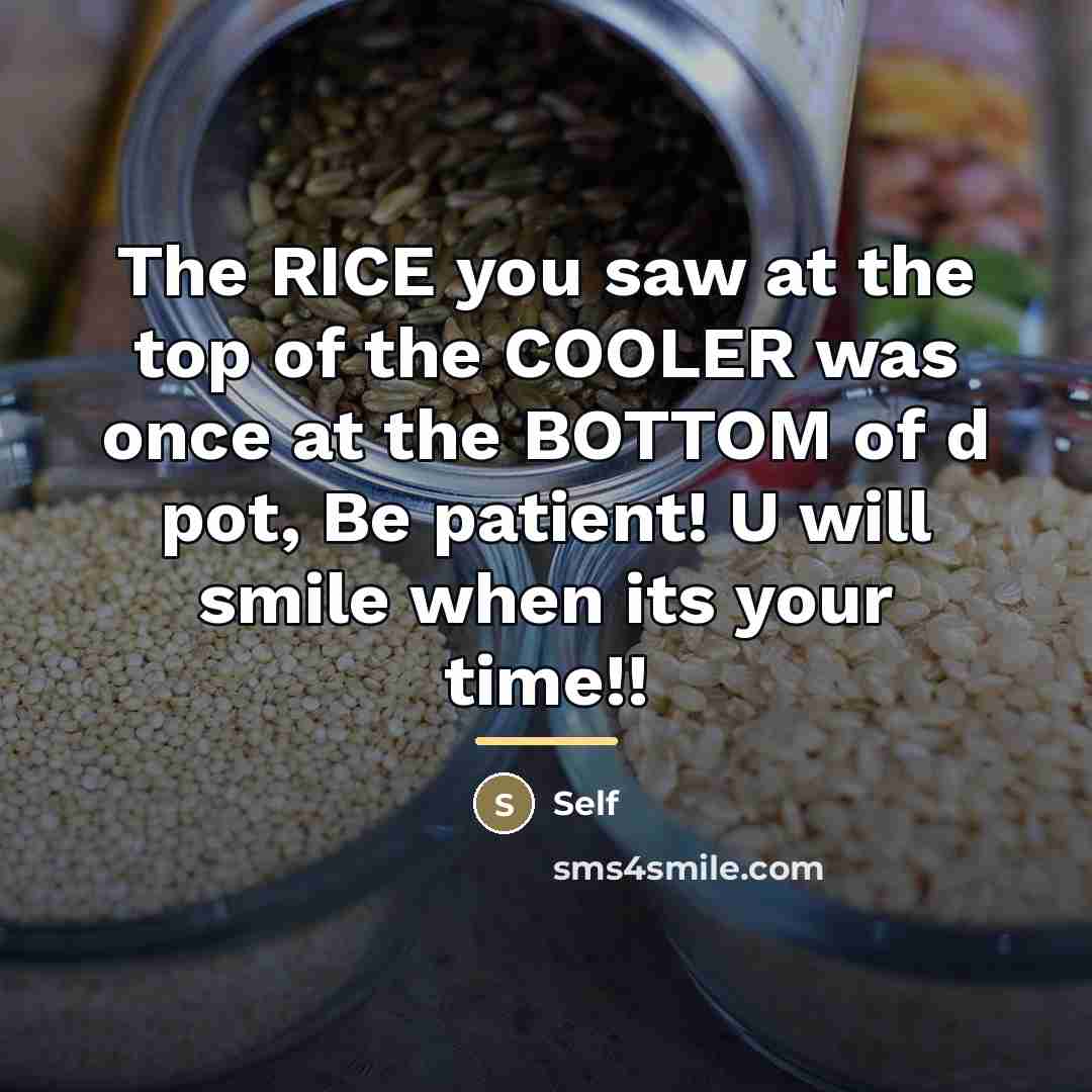 “The RICE you saw at the top of the COOLER…” quote by Self