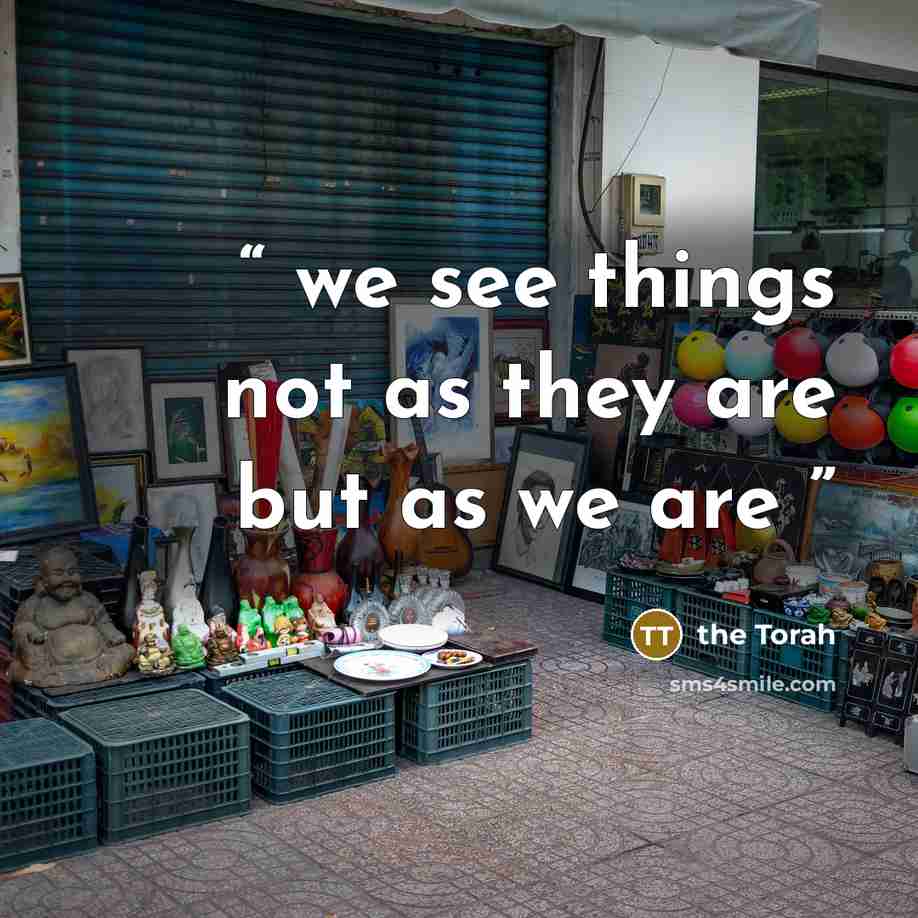 “we see things not as they are but as we are” quote by the Torah