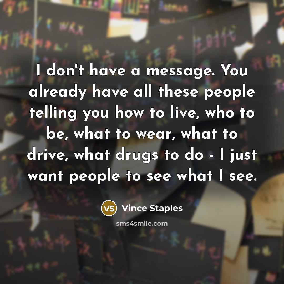 “I don't have a message. You already have all these…” quote by Vince Staples