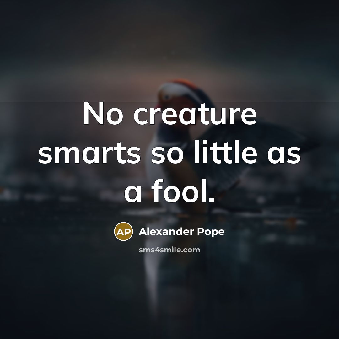 “No creature smarts so little as a fool.…” quote by Alexander Pope