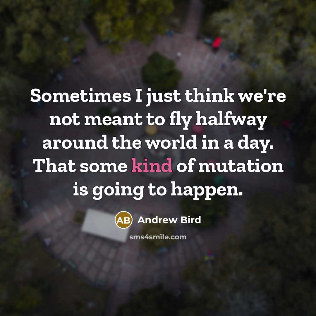 “Sometimes I just think we're not meant to fly halfway…” quote by Andrew Bird